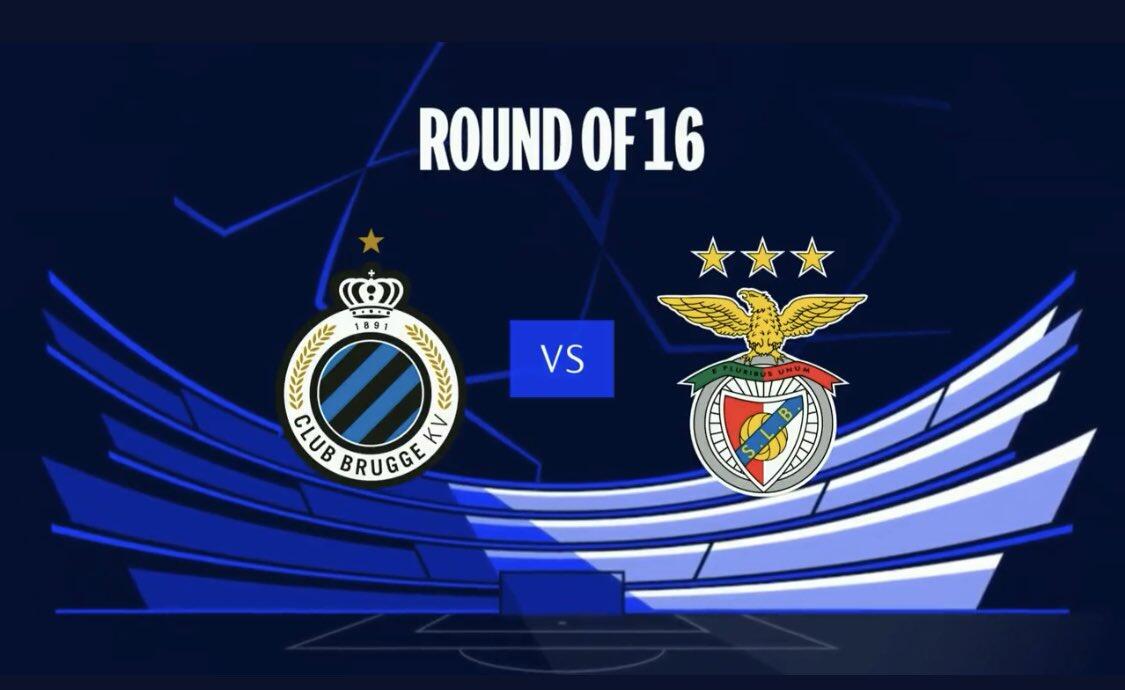 国际马术盛宴登陆杭州桐庐 掀起长三角马术热潮